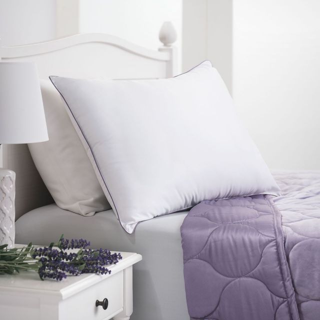 Concept ZZZ White Queen Aromatherapy Lavender Infused Pillow-1