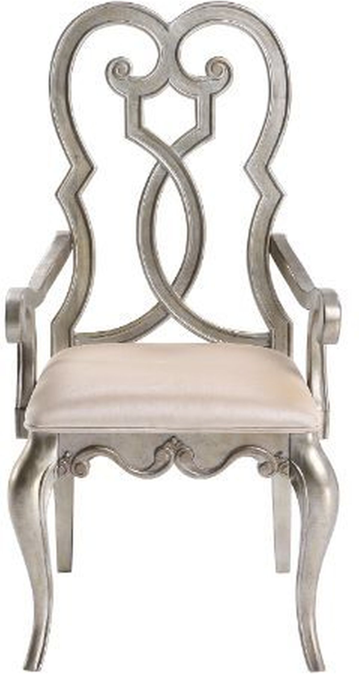 Acme Furniture Esteban Arm Chair - Thumbnail 2