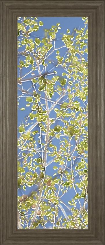 Classy Art Spring Poplars l by Sharon Chandler Framed Print Wall Art-1