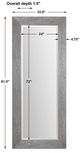 Uttermost® Amadeus Silver Full Length Mirror-2