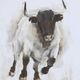 Uttermost® by Grace Feyock Rustic Bull Brown Framed Animal Print-4