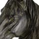A & B Home Black Equine Sculpture-4
