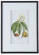 A & B Home 2-Piece Black/White Botanical Wall Art Set-3