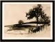Stylecraft Inkscape II Wall Art-0