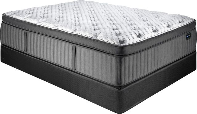 Spring Air® Back Supporter Michelle 16" Hybrid Plush Box Top Queen Mattress-0