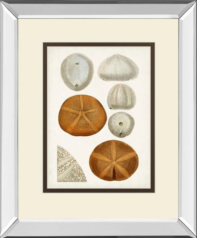 Classy Art Coastal Curiosity II by Unknown Mirror Framed Wall Art-0
