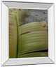 Classy Living Patricia Pinto Butterfly Palm Il Mirror Framed Wall Art-3
