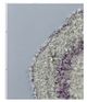 Bassett Mirror Stone Art Bronze Wall Hanging Decor-1