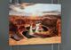 Signature Design by Ashley® Deemsdon Wall Art-4