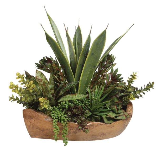 Uttermost® Salar Natural Succulents-0