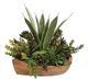 Uttermost® Salar Natural Succulents-0