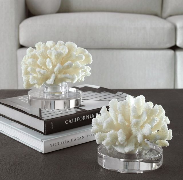 Uttermost® Hard 2-Piece Cream Coral Sculpture Set-1