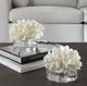 Uttermost® Hard 2-Piece Cream Coral Sculpture Set-1