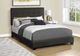 Monarch Specialties Inc. Black Double Panel Bed-1