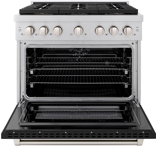 ZLINE Paramount Series 36" Stainless Steel Pro Style Dual Fuel Range with Black Matte Door-1