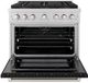 ZLINE Paramount Series 36" Stainless Steel Pro Style Dual Fuel Range with Black Matte Door-1