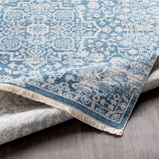 Surya Ephesians Blue/Beige 5'x8' Area Rug-3