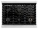 ZLINE Autograph Edition 36" Satin Stainless Steel Pro Style Gas Range with White Matte Door and Polished Gold Accents-4