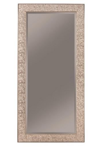Coaster® Rollins Silver Rectangular Floor Mirror-0