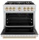 ZLINE Classic Autograph Edition 36" Stainless Steel Pro Style Gas Range with White Matte Door and Polished Gold Accents-1