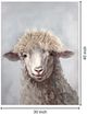 Classy Living Contemplative Fuzzy Sheep Wall Art-2
