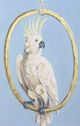Stylecraft Perched Parrot Wall Art-1