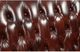 ACME Furniture Eustoma Cherry/Walnut Loveseat-5