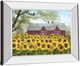 Classy Living Billy Jacobs Sunshine Field Wall Art-3