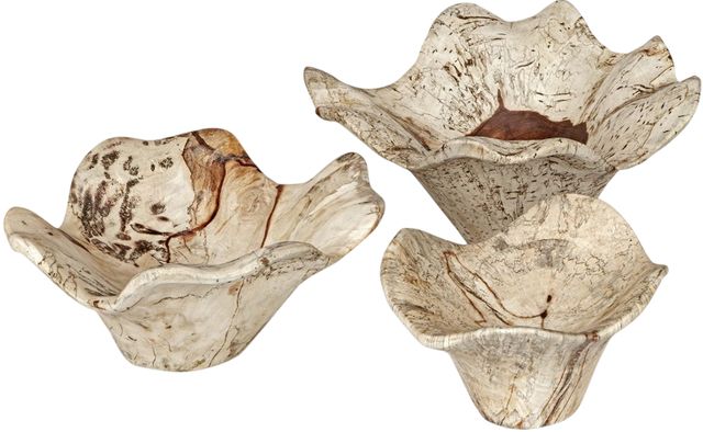 Uttermost® Teo 3-Piece Bleached Wall Decor Set-3