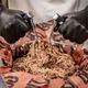 Pit Boss® Grills Meat Shredders-2