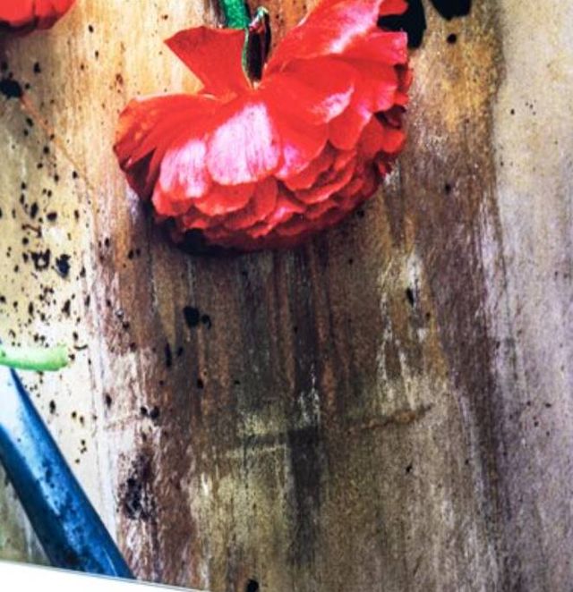 YHD Planned Planting Wall Art-4