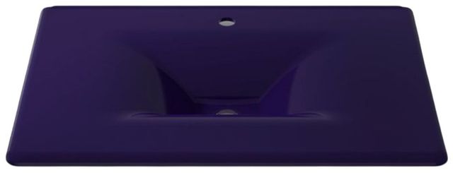 Kohler Iron/Impressions® Indigo Blue 31" Enameled Cast Iron Vanity Top with Integrated Rectangular Sink-3