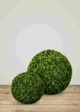 Le Present Podocarpus Green Faux Botanical Ball-3