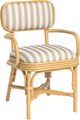TOV Furniture Dorine Beige/Khaki/Natural Dining Arm Chair-0