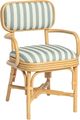 TOV Furniture Dorine Beige/Mint Green/Natural Dining Arm Chair-0
