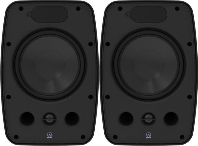 Origin Acoustics® Professional 8" Black Surface Mount Speakers