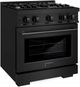 ZLINE Select 30" Black Stainless Steel Pro Style Dual Fuel Range-2