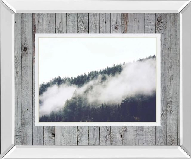Classy Art Foggy Forest I By Sisi And Seb Mirror Framed Wall Art-1
