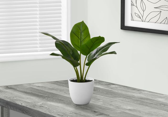 Monarch Specialties Inc. Green/White 17" Tall Artificial Potted Aureum-3