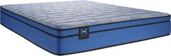 Grand matelas de 11,5 po en ressorts enveloppés ferme à europlateau de Sealy® Nilo