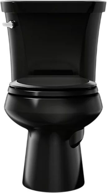 KOHLER® Wellworth® Black 2-Piece 29" Round-Front Toilet, 1.28 Gpf with Tank Cover Lock-1