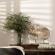 Dovetail Furniture Cidalia Natural Small Sculpture-1