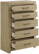 Coaster® Hendricks Light Oak Chest-5