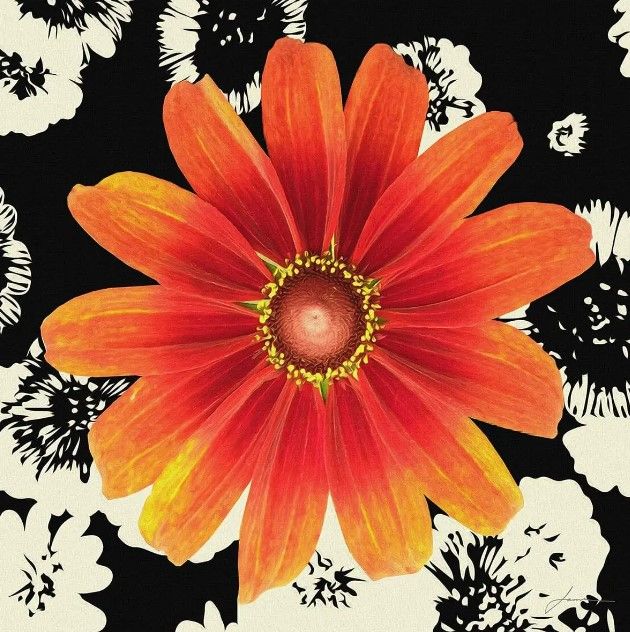 Classy Art Black and Bloom II by James Burghardt Wall Art-0