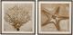 Bassett Mirror Neutral Seafan Framed Print Wall Art-2