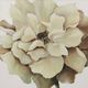 Stylecraft Brown/Beige Wall Art-1