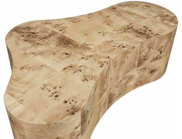Meridian Furniture Zaire Burl Coffee Table-3