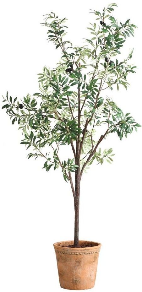 Uttermost® Olea Green/Terracotta Potted Tree-2