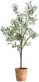 Uttermost® Olea Green/Terracotta Potted Tree-2