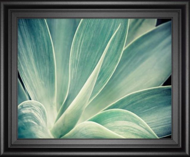 Classy Art Black/Green Fresnillo By Irene Suchocki Wall Art-1